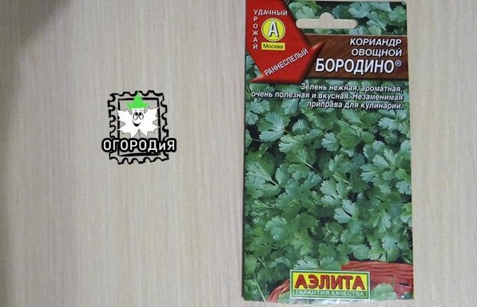 Maišas kalendros sėklos daržovių Borodino