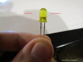Kaip nustatyti LED poliškumą