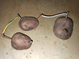 Elektra iš bulvių - atlikti paprastą eksperimentą
