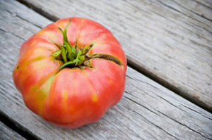 Auga skanus ir geras pomidorus ant lovos