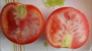 Kodėl auga pomidorai su baltomis gyslomis, ir ką daryti