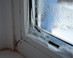 Plastikiniai langai "šauksmas" kodėl kondensatas ant langų rėmų ir ką daryti