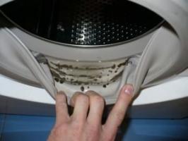 Kaip pašalinti pelėsiais atsiduodantis kvapas iš skalbimo mašinos