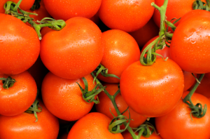 Pomidorų veislių, kurios yra atsparios Phytophthora. Informacija ant pakuotės