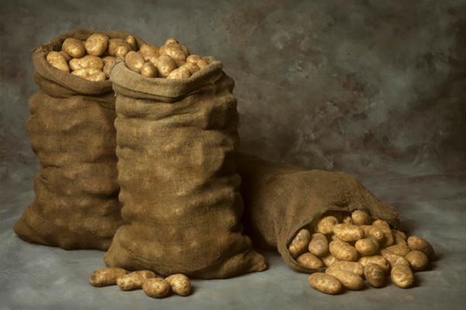 Saugoti bulves žiemą maišuose - puikus, bet ne vienintelis būdas!