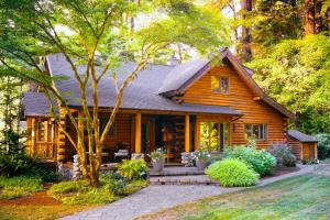 Kaip apsaugoti medinius namus: Patarimai savininkai ir specialistai