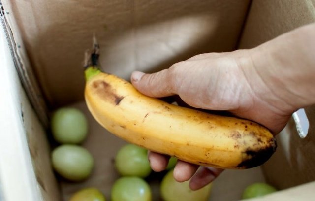 Bananų puikiai atlieka savo funkciją! (Ridoff.ru)