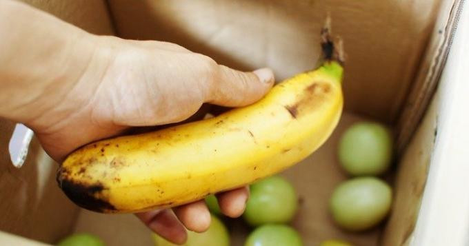 Prinokusių bananų pagreitina nokinimo žalių pomidorų