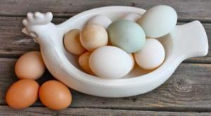 Kaip naudinga ančių kiaušiniai