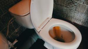 Kaip greitai ir lengvai išvalyti tualetą nuo rūdžių ir geltona apnašas?