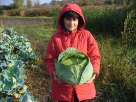 5 svarbiausi ką daryti sode spalio turtingas derlius 2019