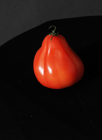 Pomidorų veislė "Puzata namelis"