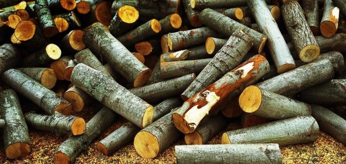 Drebulės medienos puikiai valyti kamino suodžių
