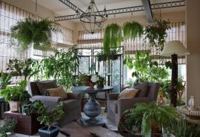 Kaip originalu ir skoningai papuošti savo namus augalus, todėl iš kambarių nepamirštamų interjerą. 6 dizaino idėjos
