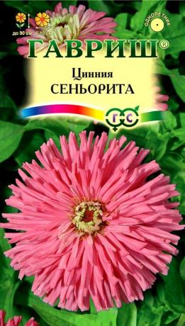 Šaltinis: www.100book.ru
