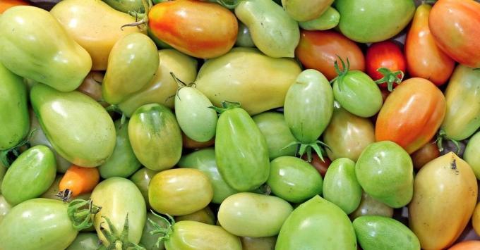 Kaip pagreitinti nokinimo pomidorus? | Sodininkystė ir sodininkystės