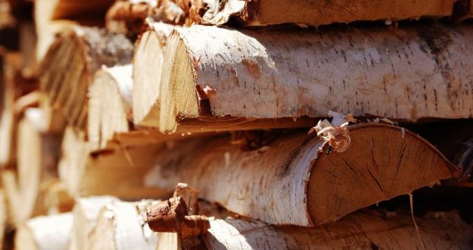 Beržas mediena yra beveik idealus krosnies pakuros