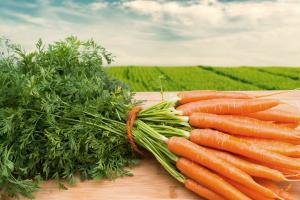 3 tipiškų problemų, kurios gali kilti, kai auga morkos
